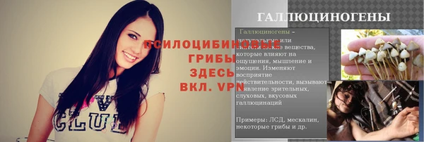 ешки Алзамай