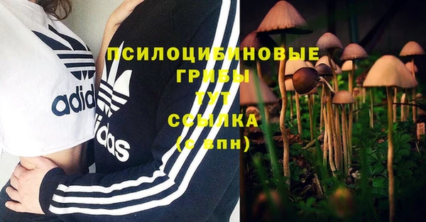 ешки Алзамай