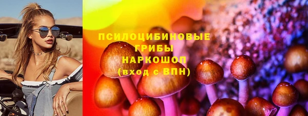 молекула духа Алексеевка