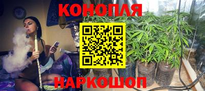 крисы Северобайкальск