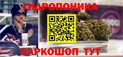 крисы Северобайкальск