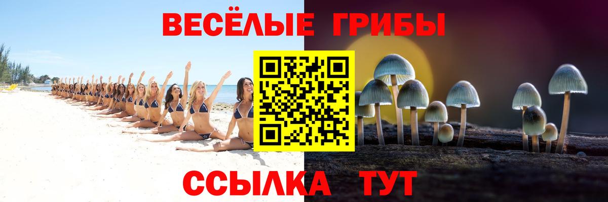 Галлюциногенные грибы Magic Shrooms  как найти наркотики  Бирск  Вход с VPN  Галлюциногенные грибы Psilocybine cubensis 